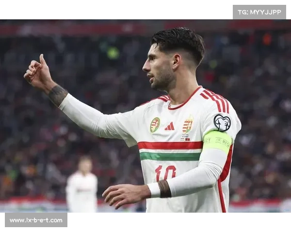 哈兰德世预赛连场高光表现震撼足坛终于赢得世界范围认可